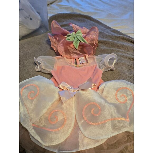 Gymboree Other - Vintage Gymboree Flower Fairy Costume with Hat